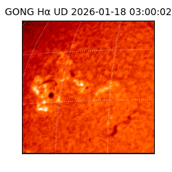 gong - 2026-01-18T03:00:02