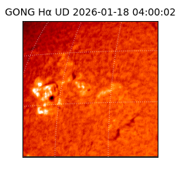 gong - 2026-01-18T04:00:02