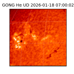 gong - 2026-01-18T07:00:02