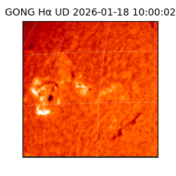 gong - 2026-01-18T10:00:02