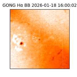 gong - 2026-01-18T16:00:02