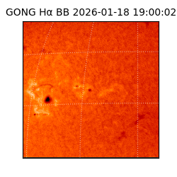 gong - 2026-01-18T19:00:02