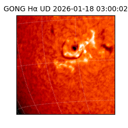 gong - 2026-01-18T03:00:02