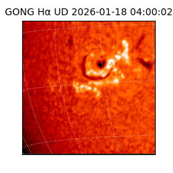 gong - 2026-01-18T04:00:02