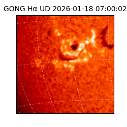 gong - 2026-01-18T07:00:02