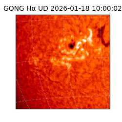 gong - 2026-01-18T10:00:02