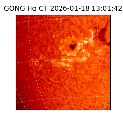 gong - 2026-01-18T13:01:42