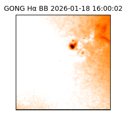 gong - 2026-01-18T16:00:02