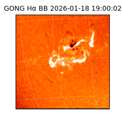gong - 2026-01-18T19:00:02