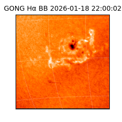 gong - 2026-01-18T22:00:02