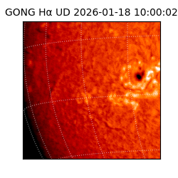gong - 2026-01-18T10:00:02