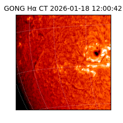 gong - 2026-01-18T12:00:42