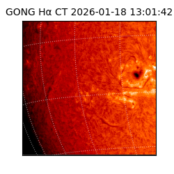 gong - 2026-01-18T13:01:42