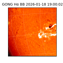 gong - 2026-01-18T19:00:02