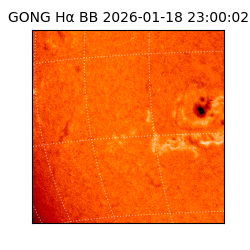 gong - 2026-01-18T23:00:02