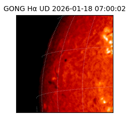 gong - 2026-01-18T07:00:02