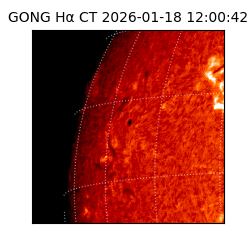 gong - 2026-01-18T12:00:42