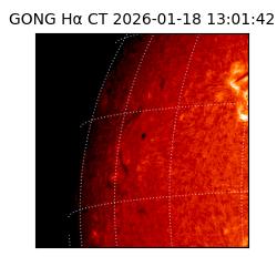 gong - 2026-01-18T13:01:42