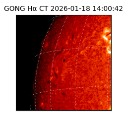 gong - 2026-01-18T14:00:42