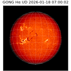 gong - 2026-01-18T07:00:02