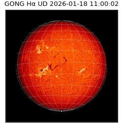 gong - 2026-01-18T11:00:02