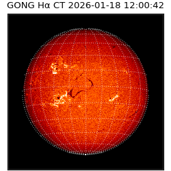 gong - 2026-01-18T12:00:42
