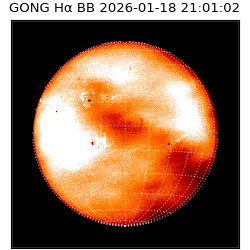 gong - 2026-01-18T21:01:02