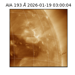 saia - 2026-01-19T03:00:04.843000
