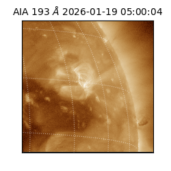 saia - 2026-01-19T05:00:04.840000