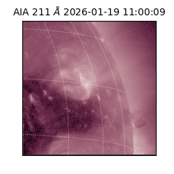 saia - 2026-01-19T11:00:09.630000