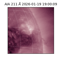 saia - 2026-01-19T19:00:09.630000