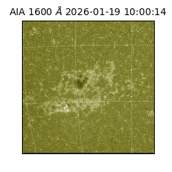 saia - 2026-01-19T10:00:14.130000