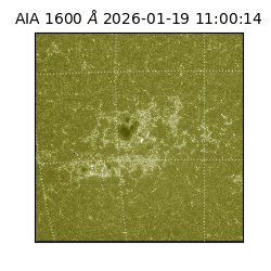 saia - 2026-01-19T11:00:14.130000