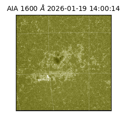 saia - 2026-01-19T14:00:14.130000