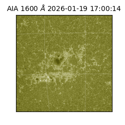 saia - 2026-01-19T17:00:14.130000