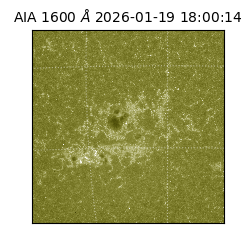 saia - 2026-01-19T18:00:14.130000