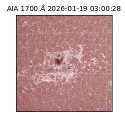 saia - 2026-01-19T03:00:28.719000
