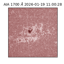 saia - 2026-01-19T11:00:28.710000