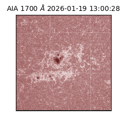 saia - 2026-01-19T13:00:28.720000