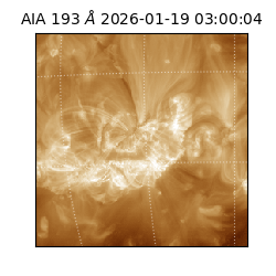 saia - 2026-01-19T03:00:04.843000