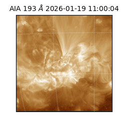 saia - 2026-01-19T11:00:04.840000