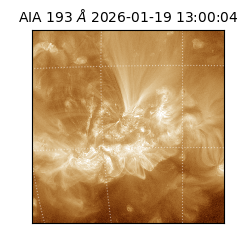 saia - 2026-01-19T13:00:04.840000