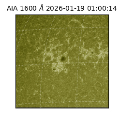 saia - 2026-01-19T01:00:14.125000