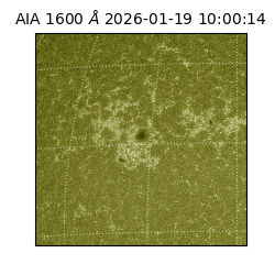 saia - 2026-01-19T10:00:14.130000