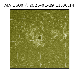 saia - 2026-01-19T11:00:14.130000