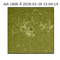saia - 2026-01-19T13:00:14.130000