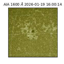 saia - 2026-01-19T16:00:14.130000
