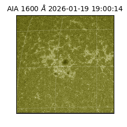 saia - 2026-01-19T19:00:14.130000