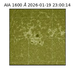 saia - 2026-01-19T23:00:14.130000