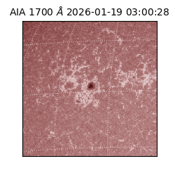 saia - 2026-01-19T03:00:28.719000